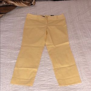 The limited ankle pants